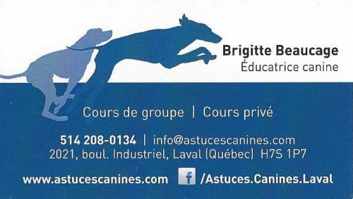 Brigitte Beaucage astuces canines